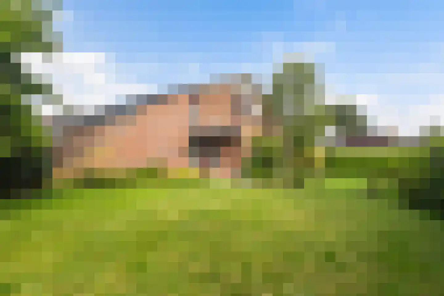 Mejontsmastraat 10 Buitenpost thumbnail 22