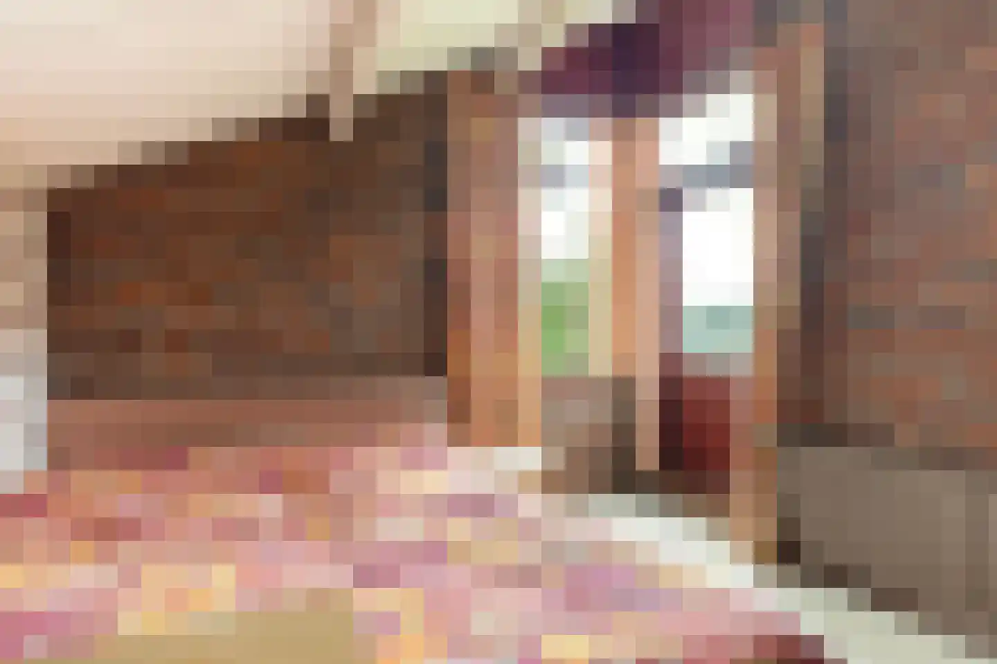 Mejontsmastraat 10 Buitenpost thumbnail 29