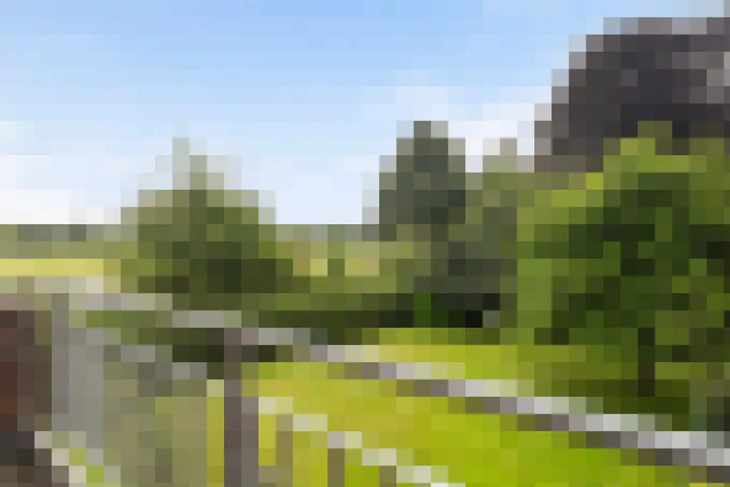 Mejontsmastraat 10 Buitenpost thumbnail 30