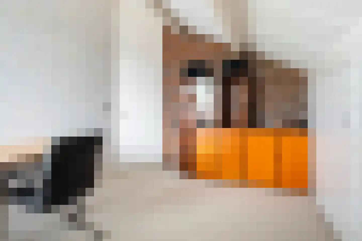Mejontsmastraat 10 Buitenpost thumbnail 35