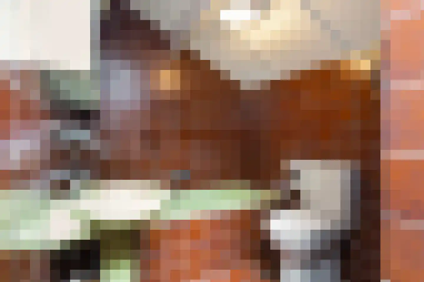 Mejontsmastraat 10 Buitenpost thumbnail 38