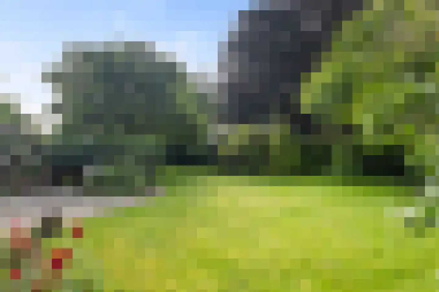 Mejontsmastraat 10 Buitenpost thumbnail 4