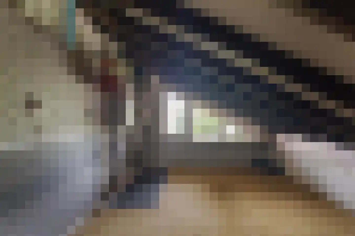 Mejontsmastraat 10 Buitenpost thumbnail 40