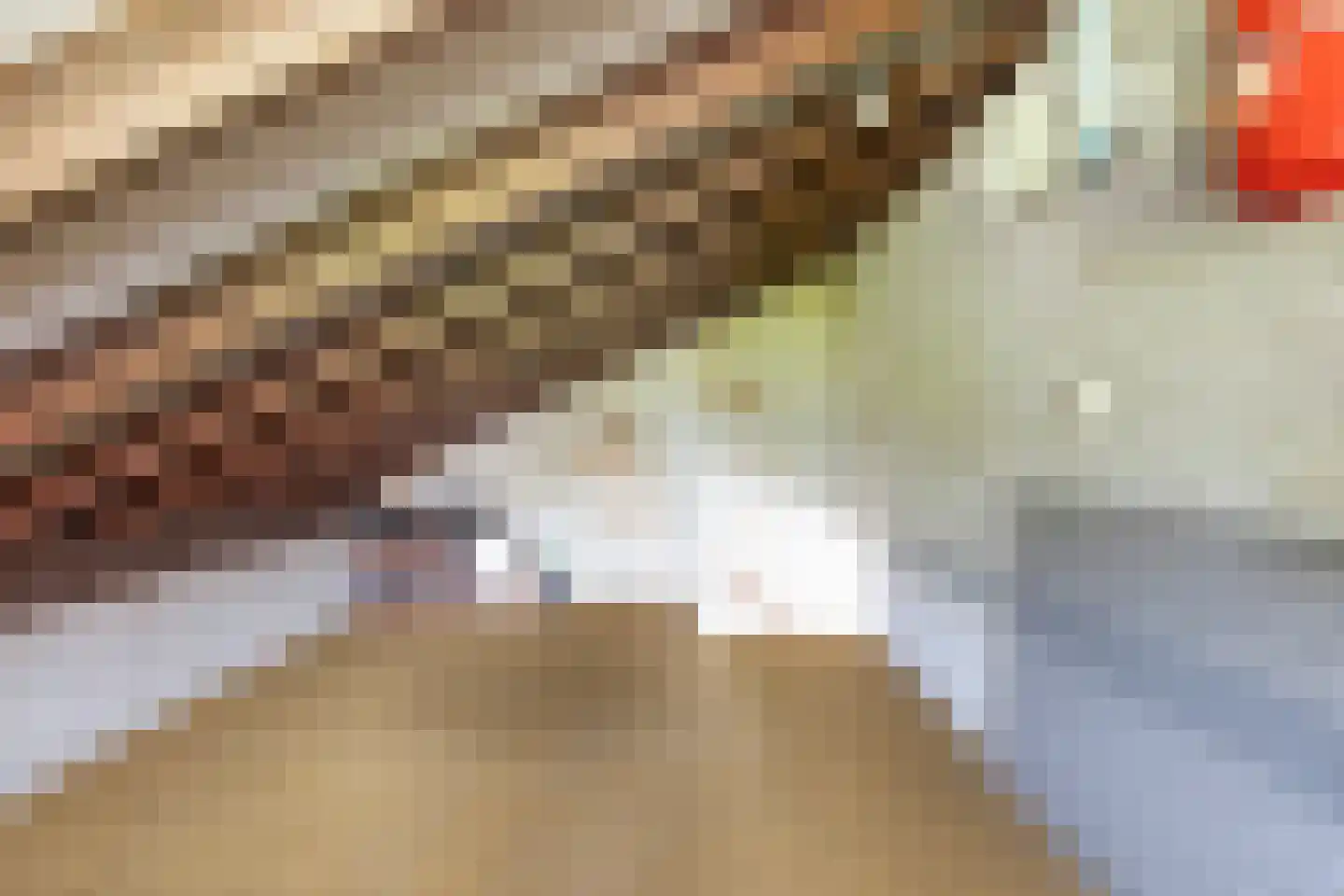 Mejontsmastraat 10 Buitenpost thumbnail 41
