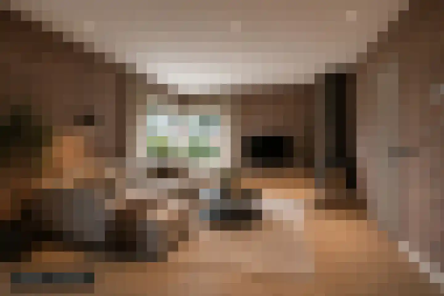 Mejontsmastraat 10 Buitenpost thumbnail 7