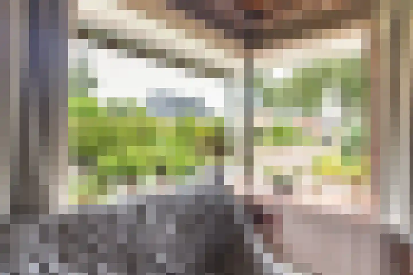 Mejontsmastraat 10 Buitenpost thumbnail 8