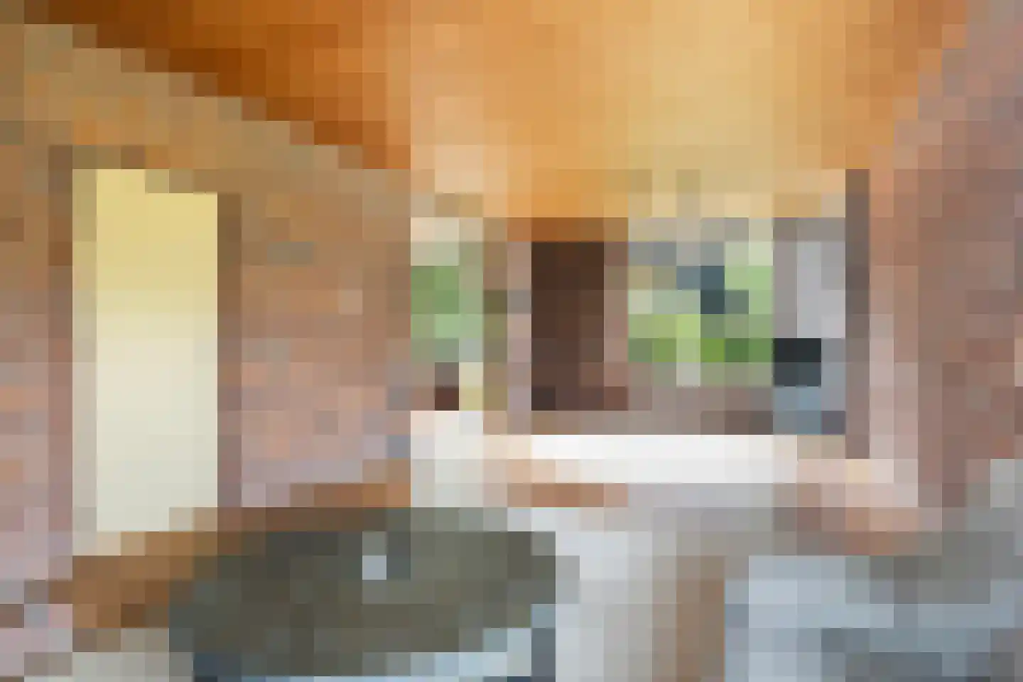 Mejontsmastraat 10 Buitenpost thumbnail 9