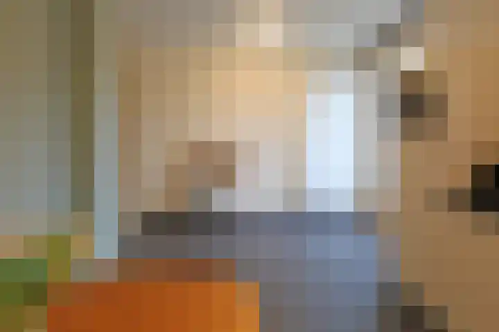 Mejontsmastraat 17 Buitenpost thumbnail 19