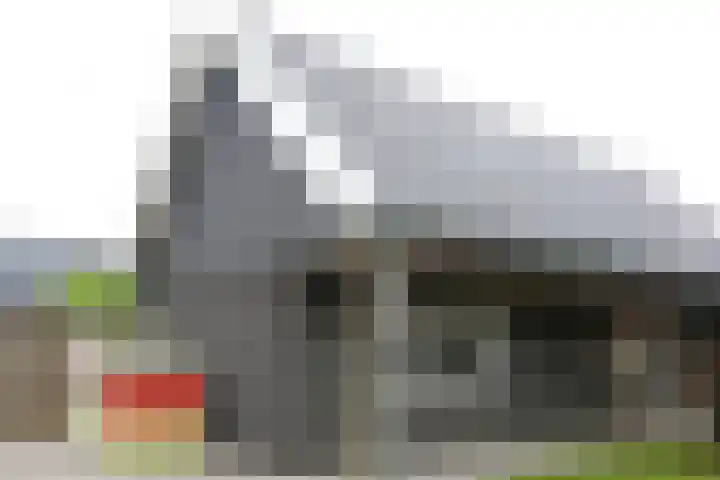 Mejontsmastraat 17 Buitenpost thumbnail 25