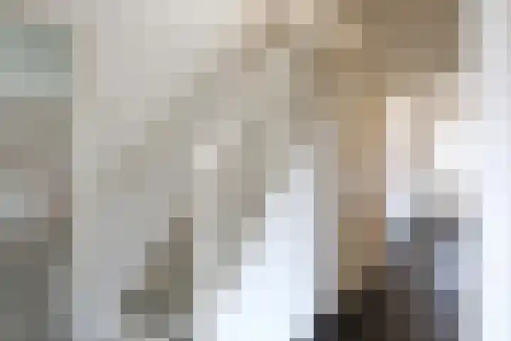 Mejontsmastraat 17 Buitenpost thumbnail 30