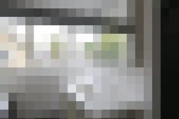 Mejontsmastraat 17 Buitenpost thumbnail 35