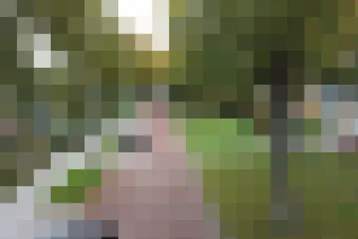 Mejontsmastraat 17 Buitenpost thumbnail 5