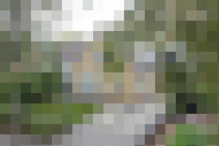 Mejontsmastraat 17 Buitenpost thumbnail 6