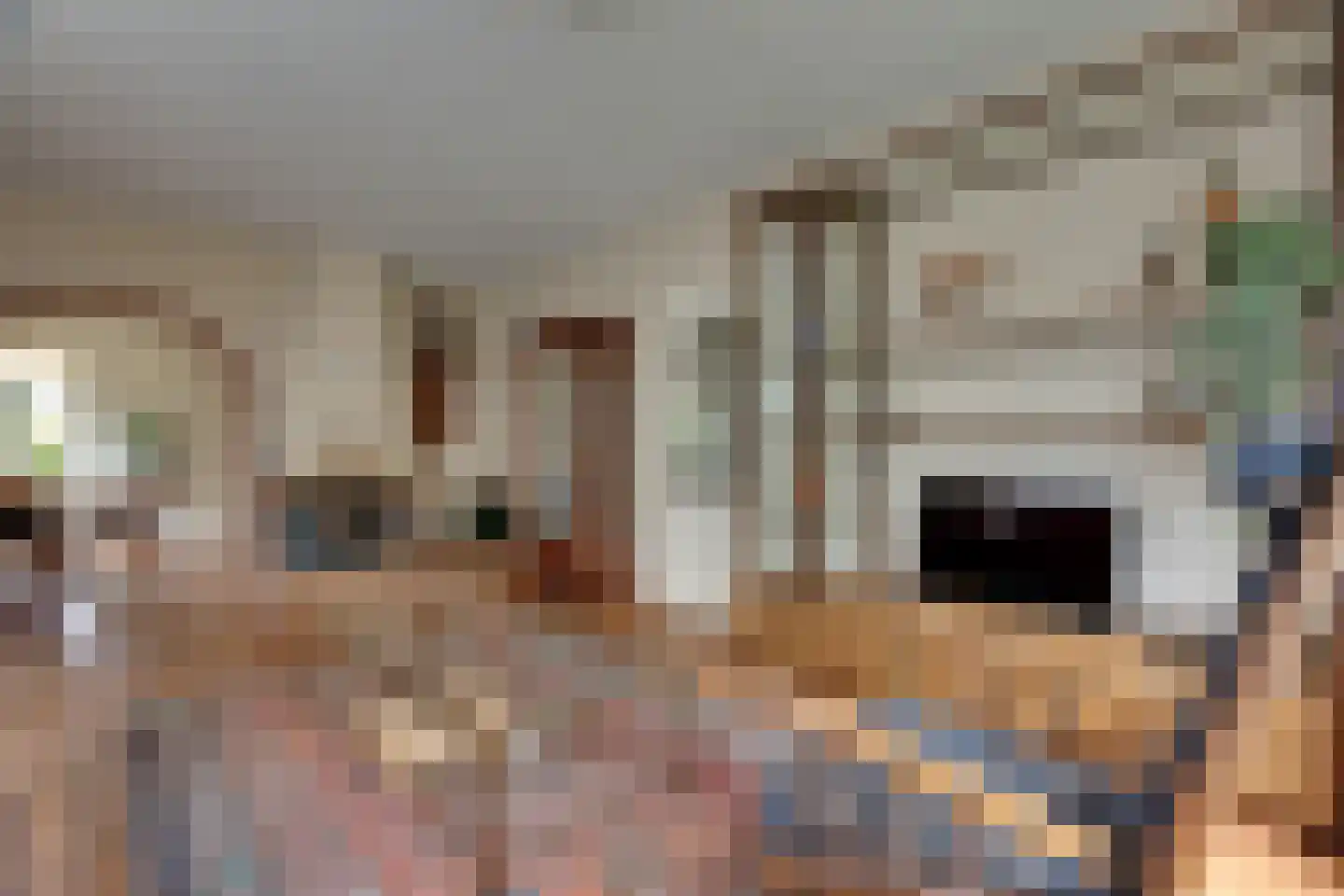 Mejontsmastraat 21 Buitenpost thumbnail 10