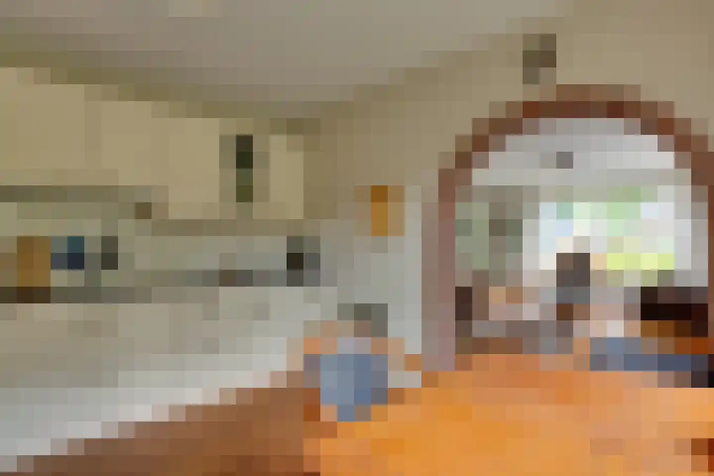 Mejontsmastraat 21 Buitenpost thumbnail 11