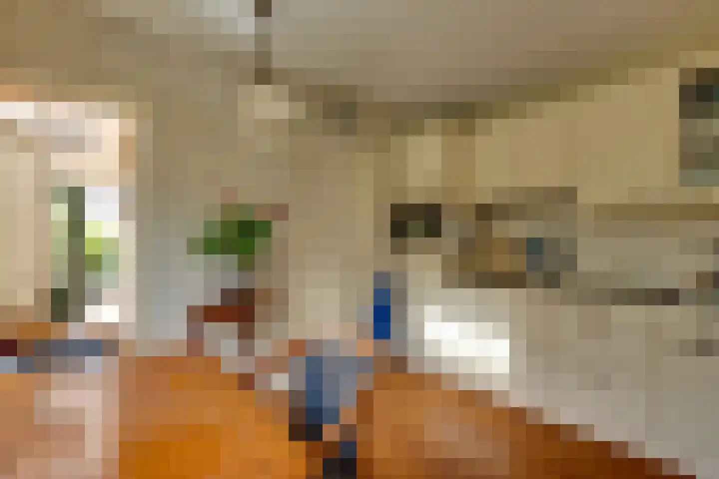 Mejontsmastraat 21 Buitenpost thumbnail 12