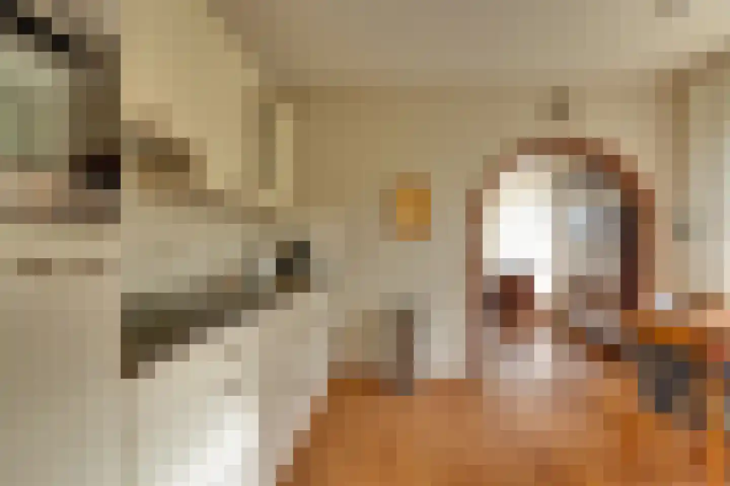Mejontsmastraat 21 Buitenpost thumbnail 13