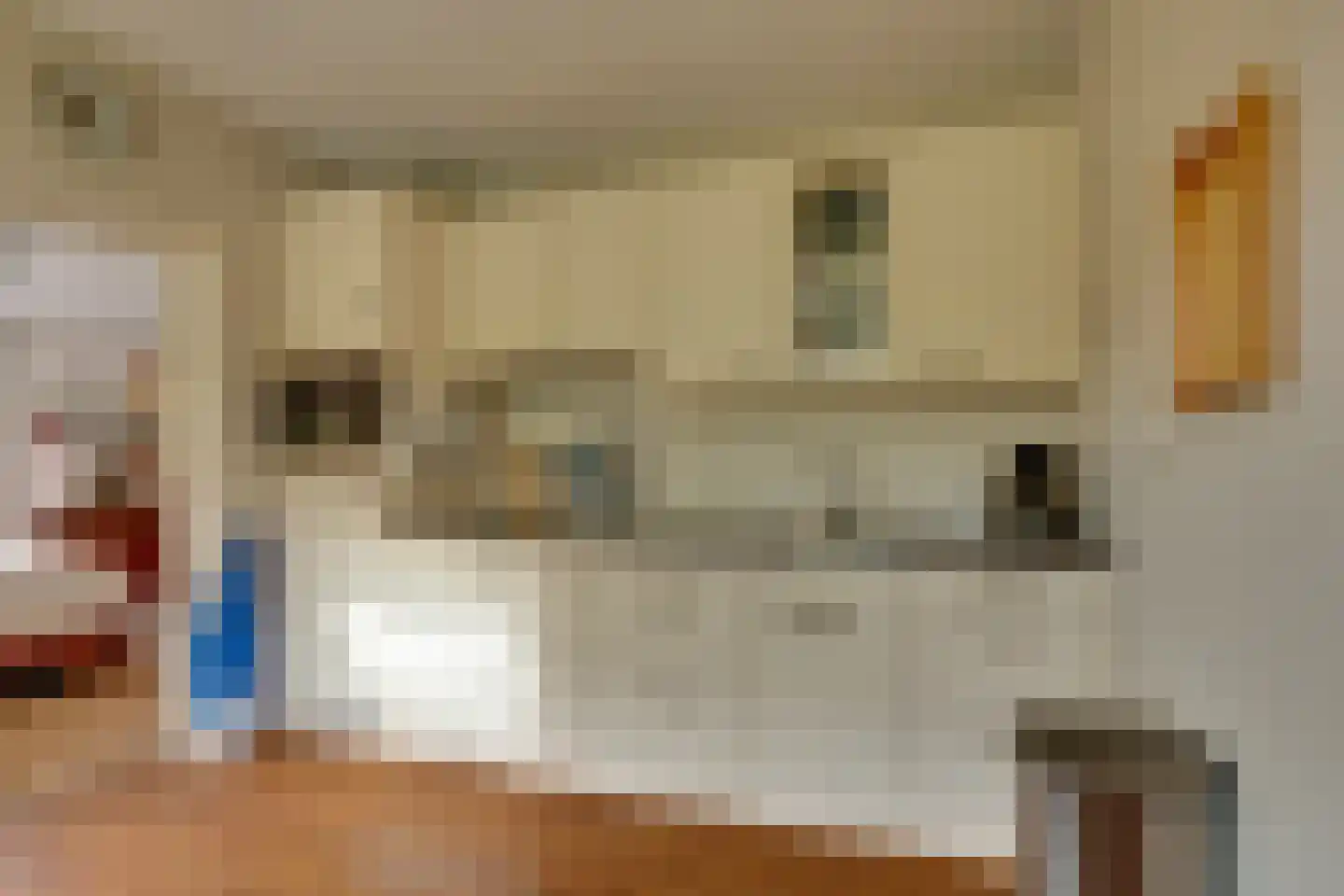 Mejontsmastraat 21 Buitenpost thumbnail 14