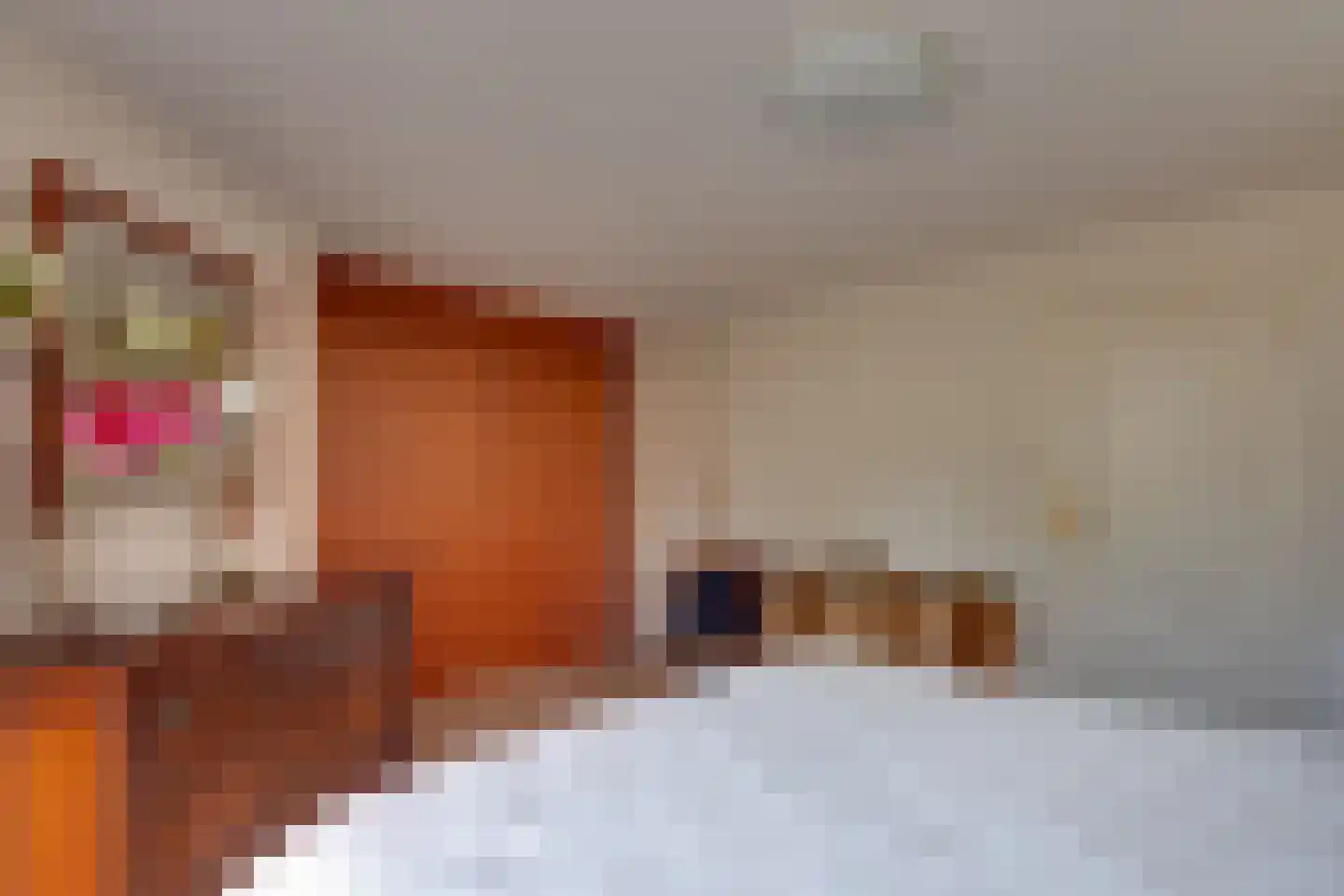 Mejontsmastraat 21 Buitenpost thumbnail 17