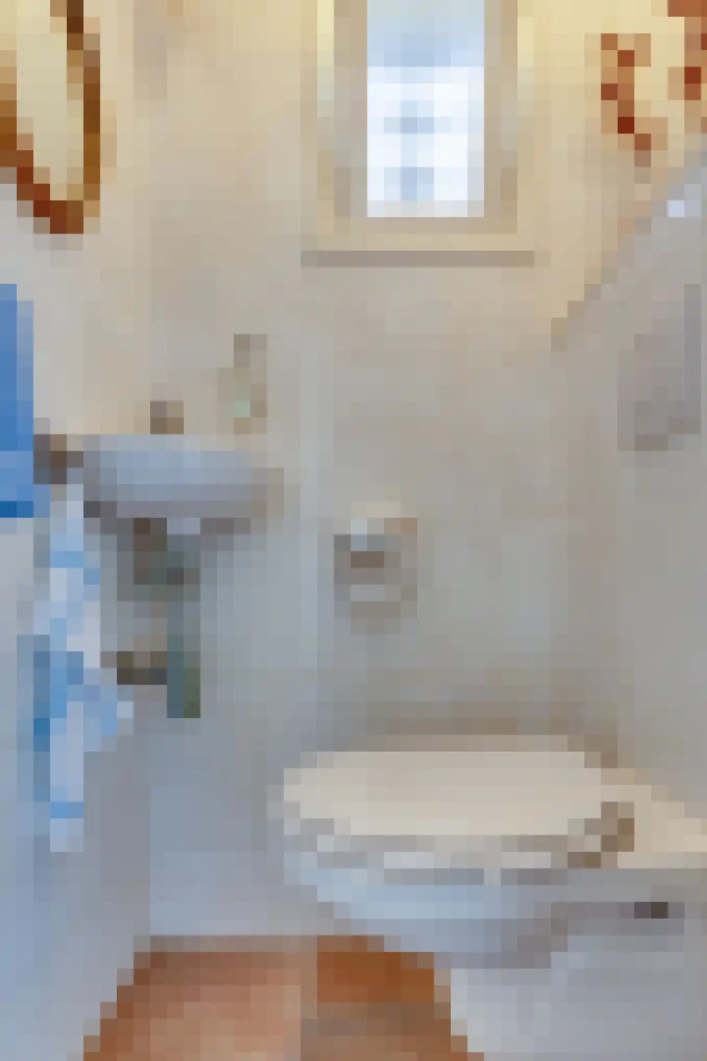 Mejontsmastraat 21 Buitenpost thumbnail 20