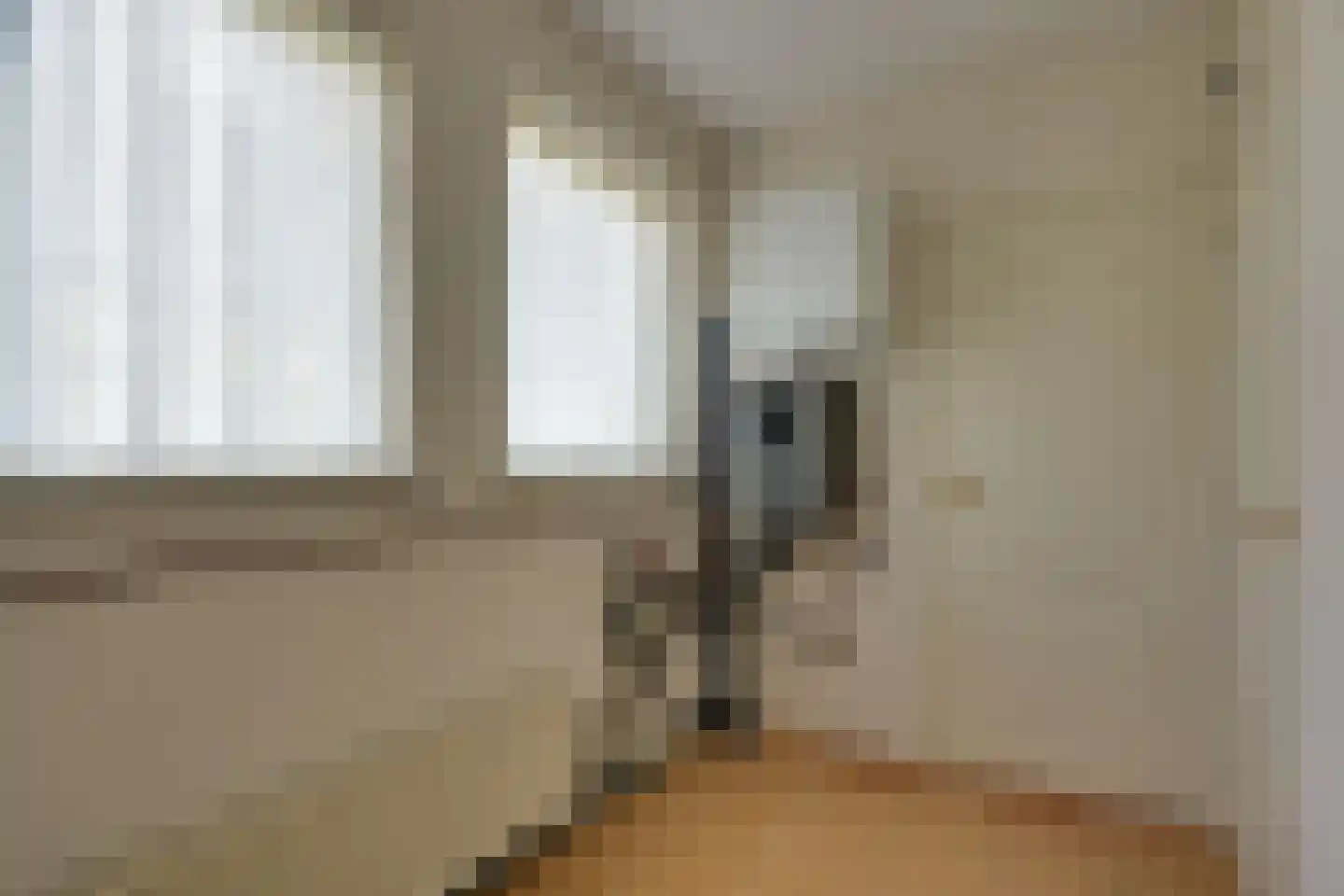 Mejontsmastraat 21 Buitenpost thumbnail 22