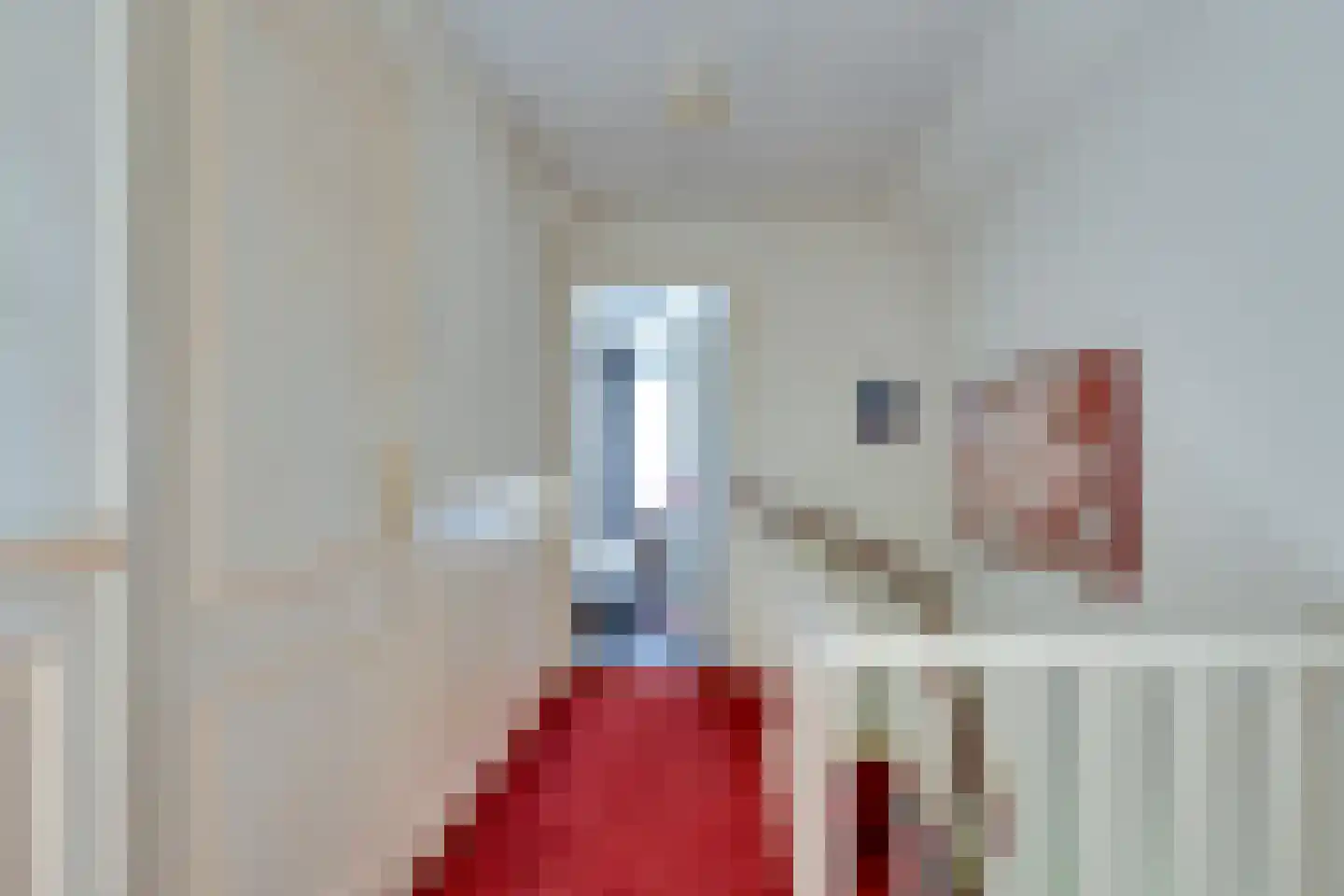Mejontsmastraat 21 Buitenpost thumbnail 26