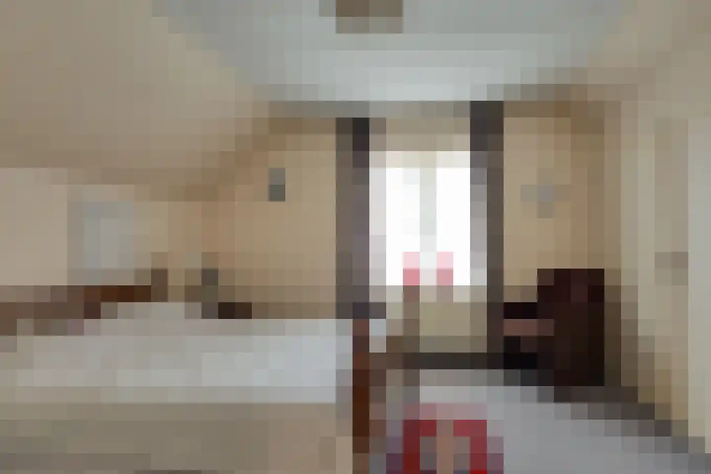 Mejontsmastraat 21 Buitenpost thumbnail 27