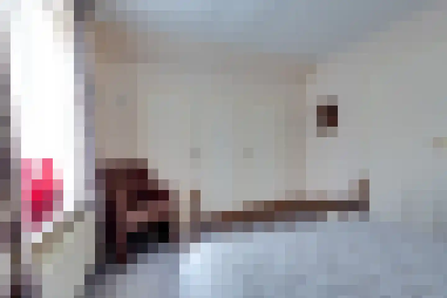 Mejontsmastraat 21 Buitenpost thumbnail 29