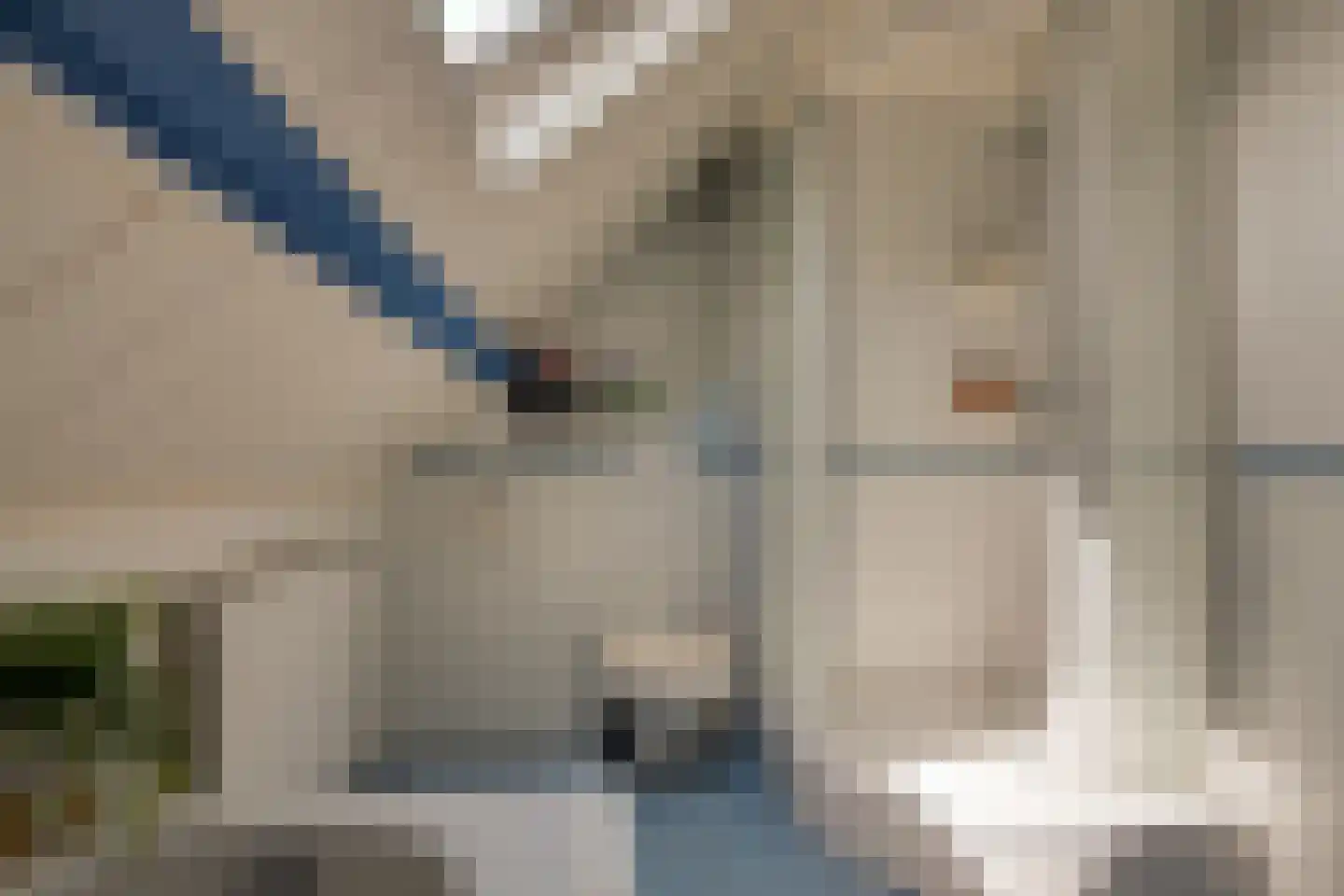 Mejontsmastraat 21 Buitenpost thumbnail 33