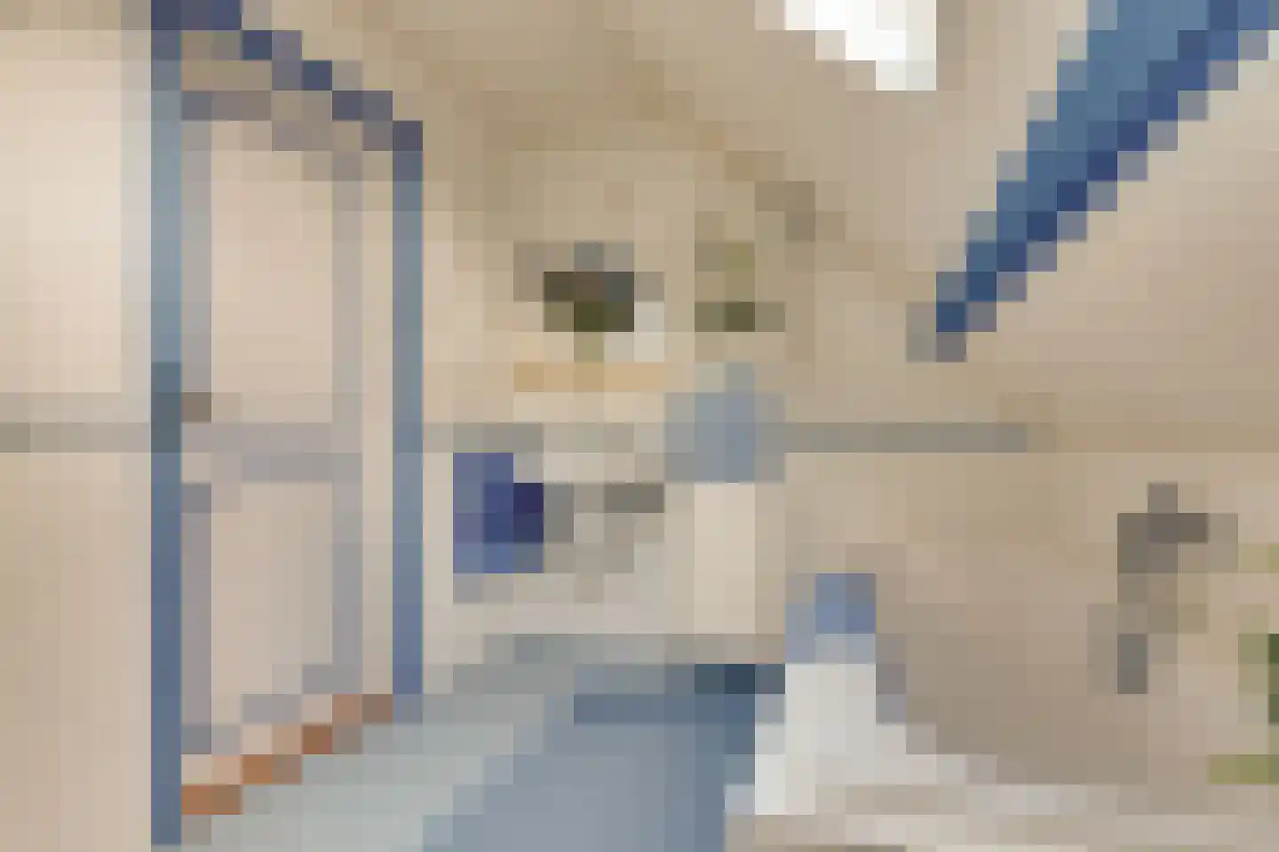 Mejontsmastraat 21 Buitenpost thumbnail 34