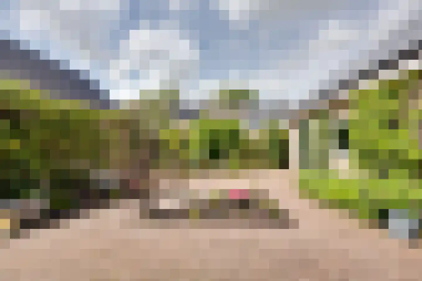 Mejontsmastraat 21 Buitenpost thumbnail 35