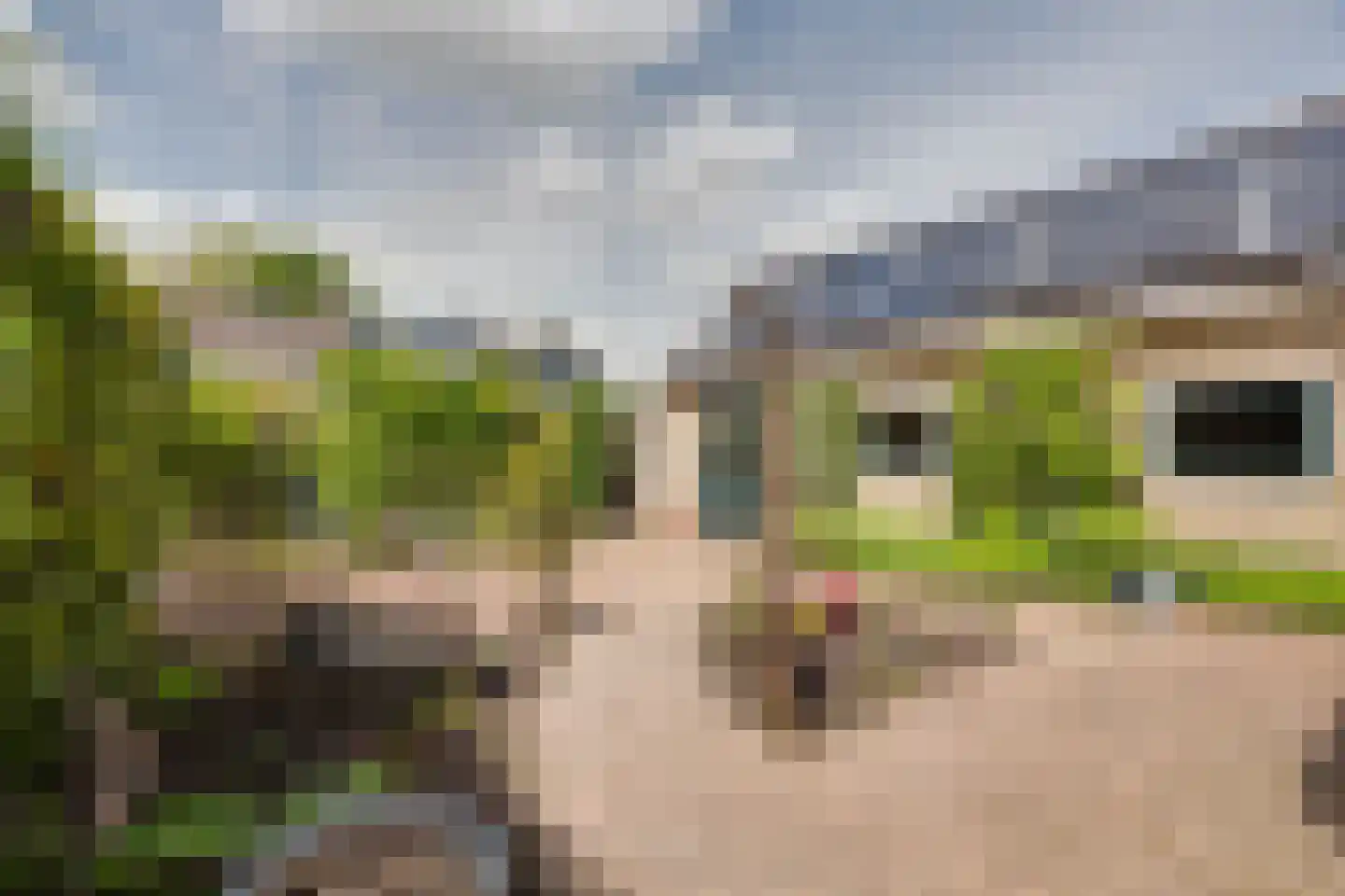 Mejontsmastraat 21 Buitenpost thumbnail 36