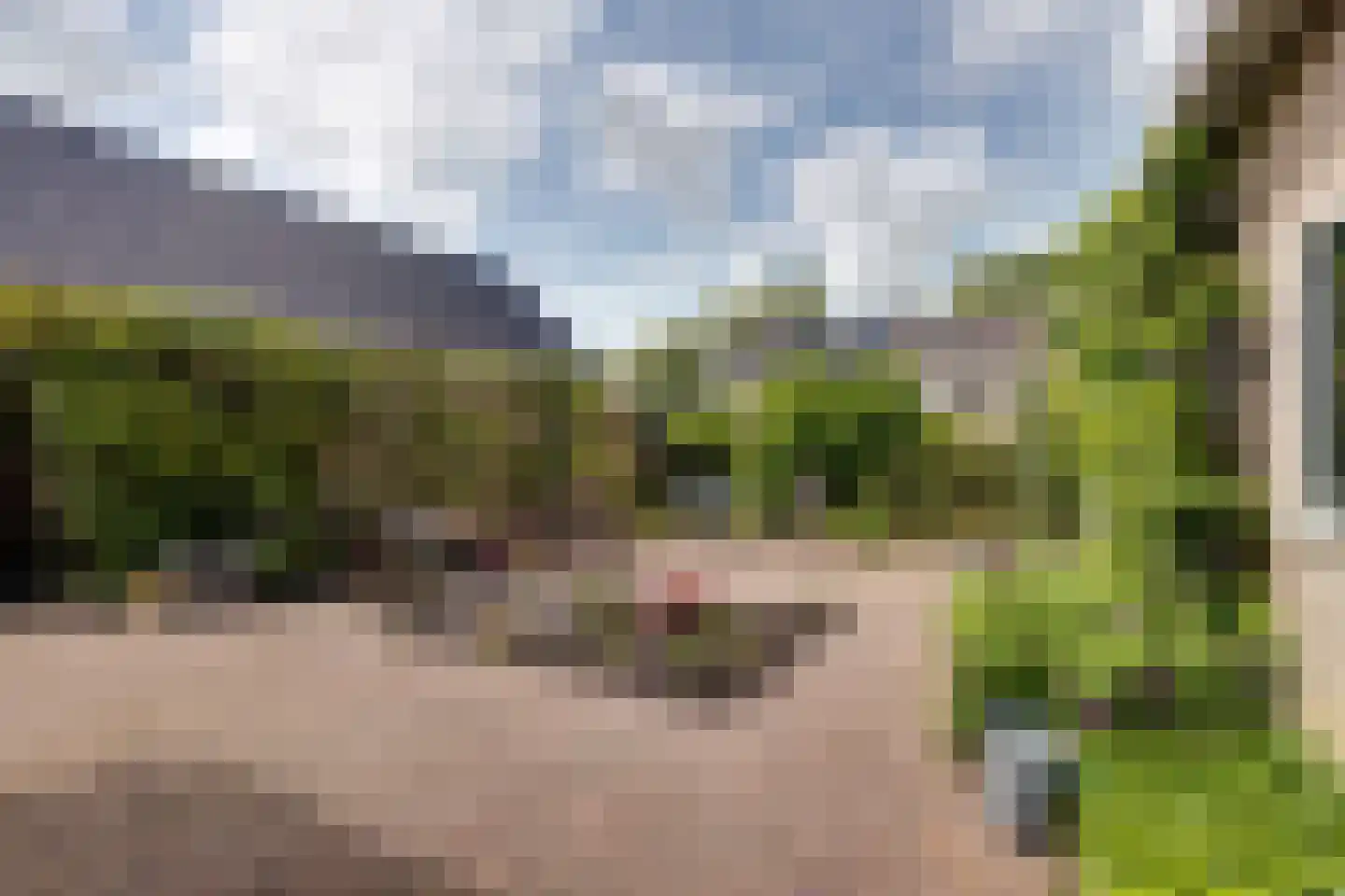 Mejontsmastraat 21 Buitenpost thumbnail 37