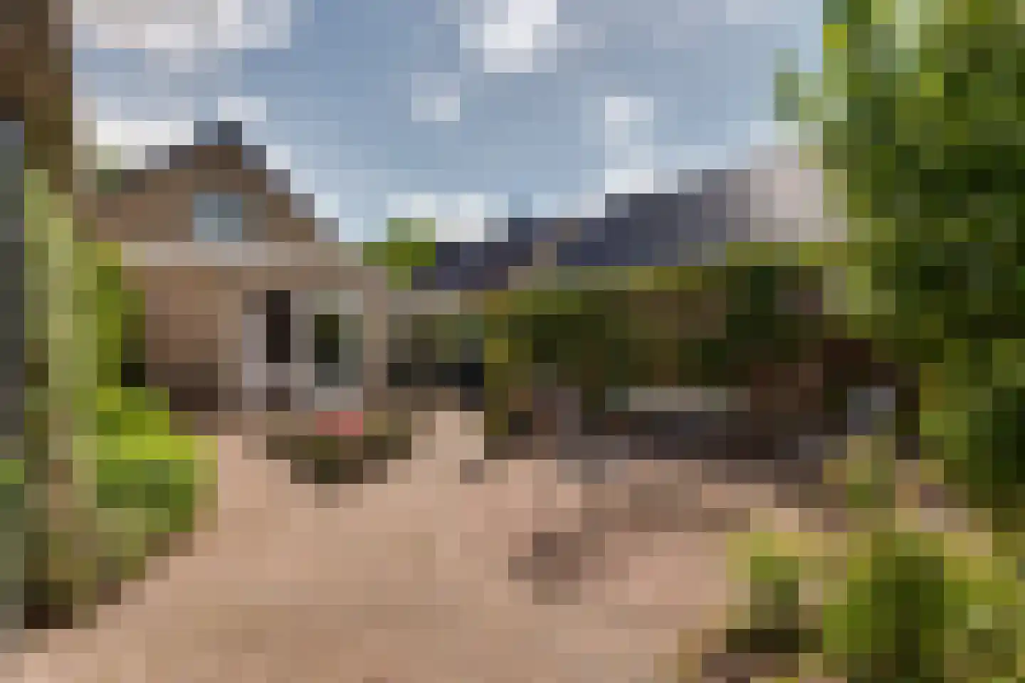 Mejontsmastraat 21 Buitenpost thumbnail 38