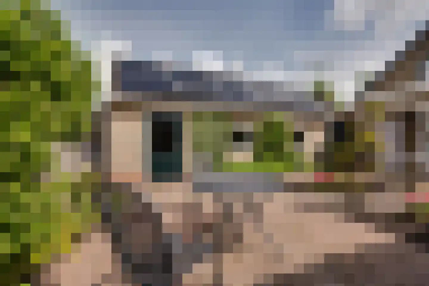 Mejontsmastraat 21 Buitenpost thumbnail 39
