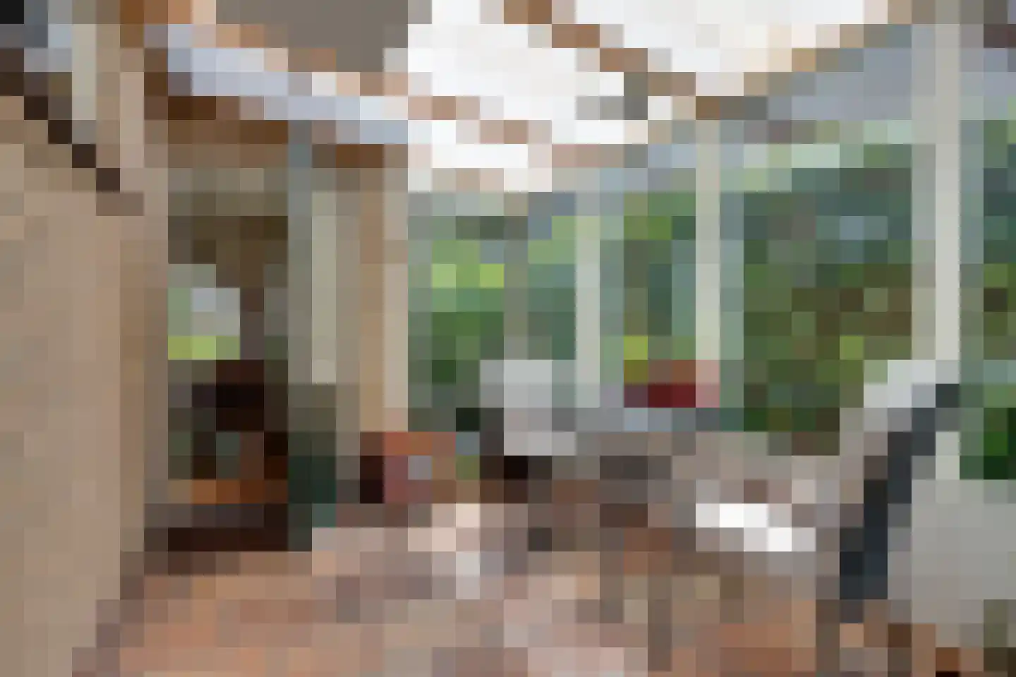Mejontsmastraat 21 Buitenpost thumbnail 40