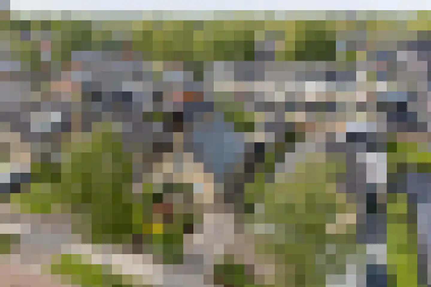 Mejontsmastraat 21 Buitenpost thumbnail 42