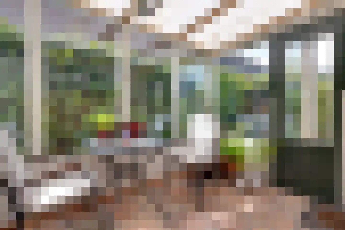 Mejontsmastraat 21 Buitenpost thumbnail 5
