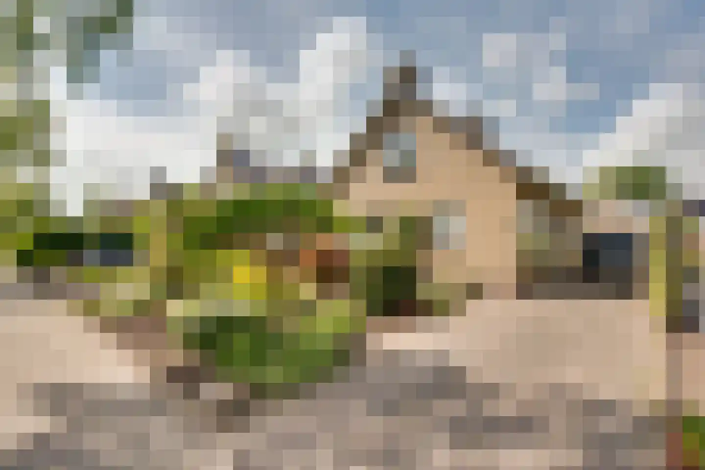 Mejontsmastraat 21 Buitenpost thumbnail 6