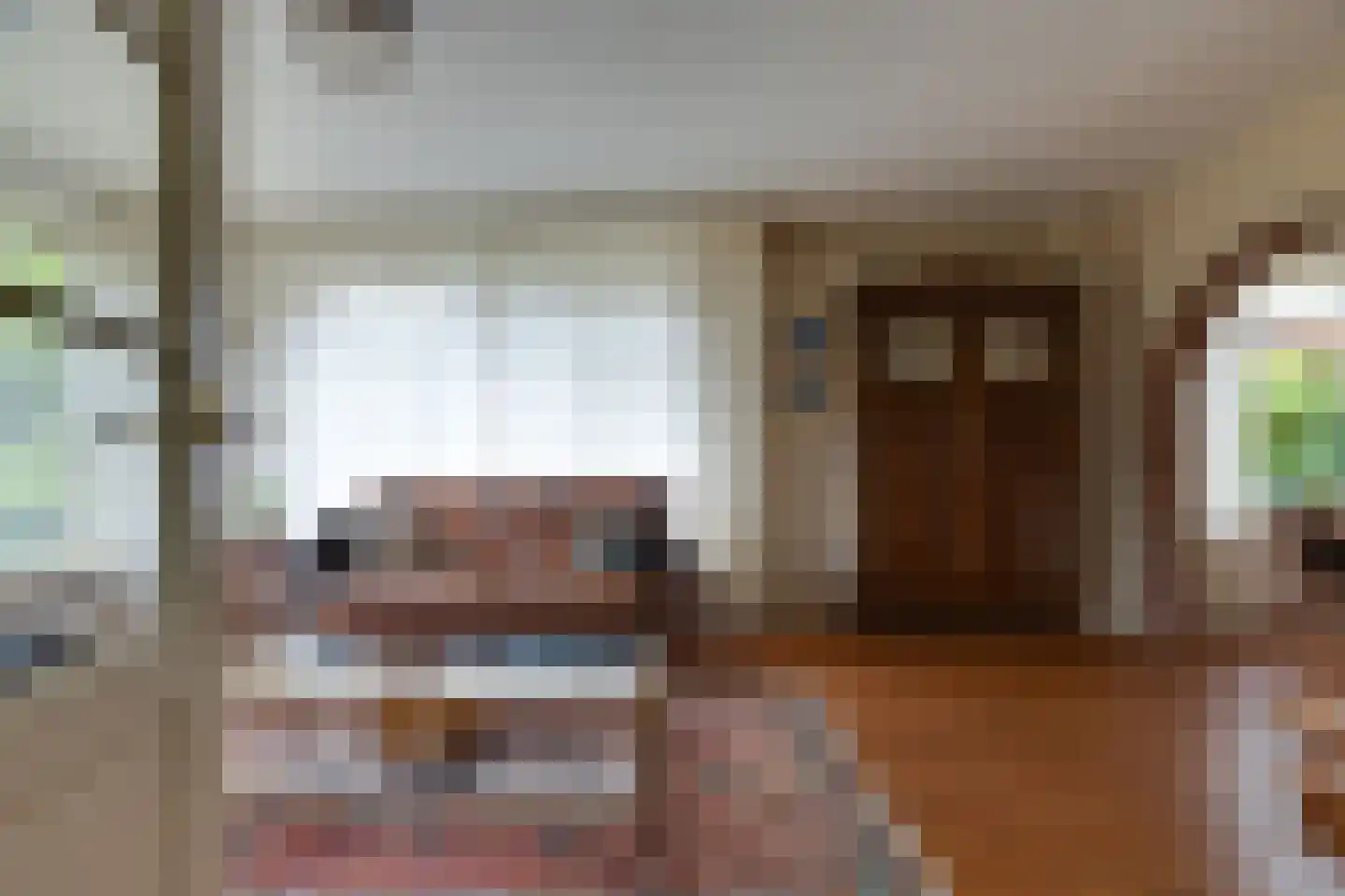 Mejontsmastraat 21 Buitenpost thumbnail 7