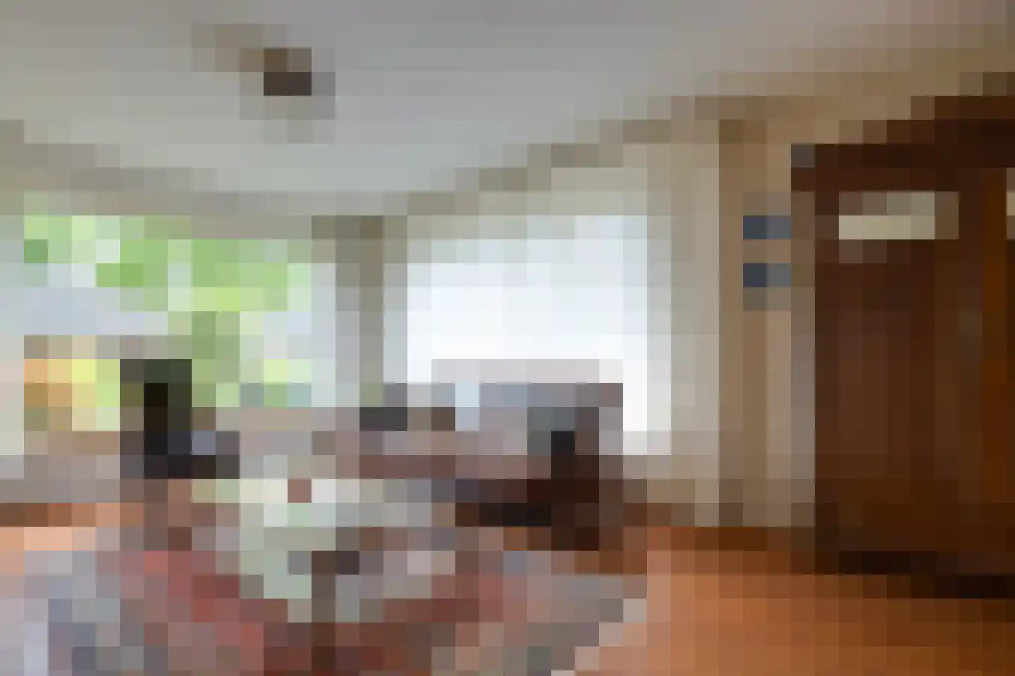 Mejontsmastraat 21 Buitenpost thumbnail 8