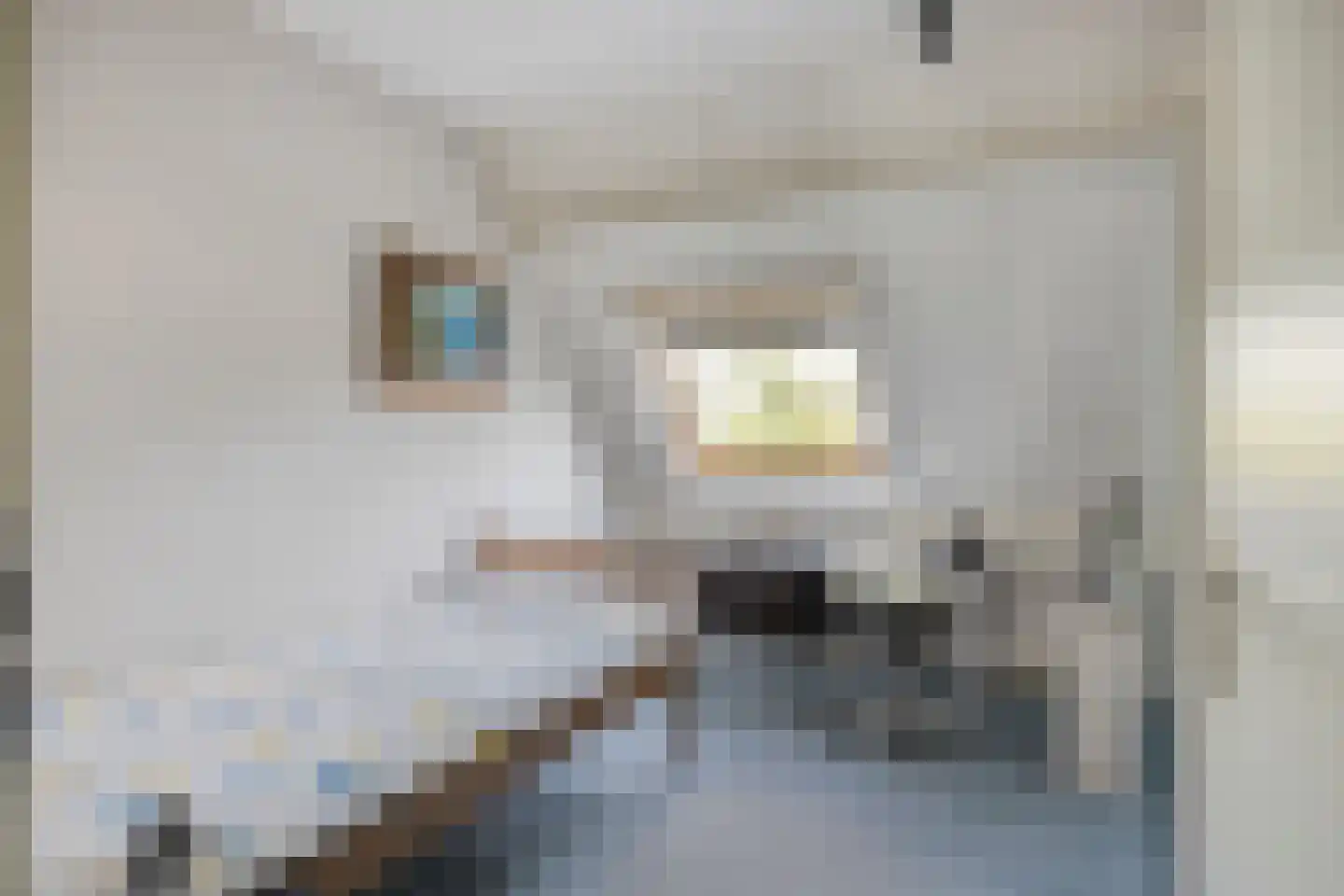 Mekelenkamplaan 23 Oss thumbnail 14