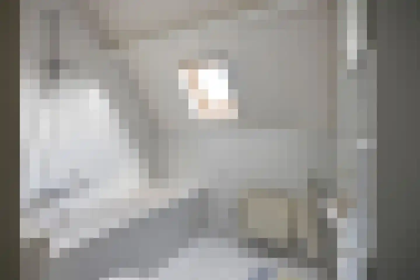 Mekelenkamplaan 23 Oss thumbnail 16