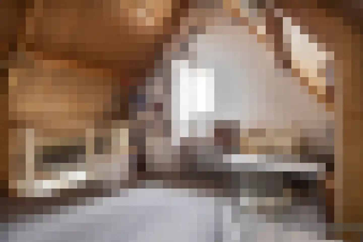 Mekelenkamplaan 23 Oss thumbnail 21