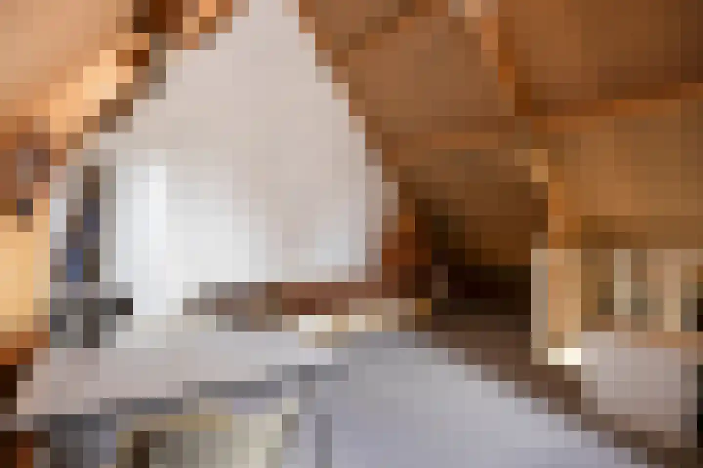 Mekelenkamplaan 23 Oss thumbnail 22