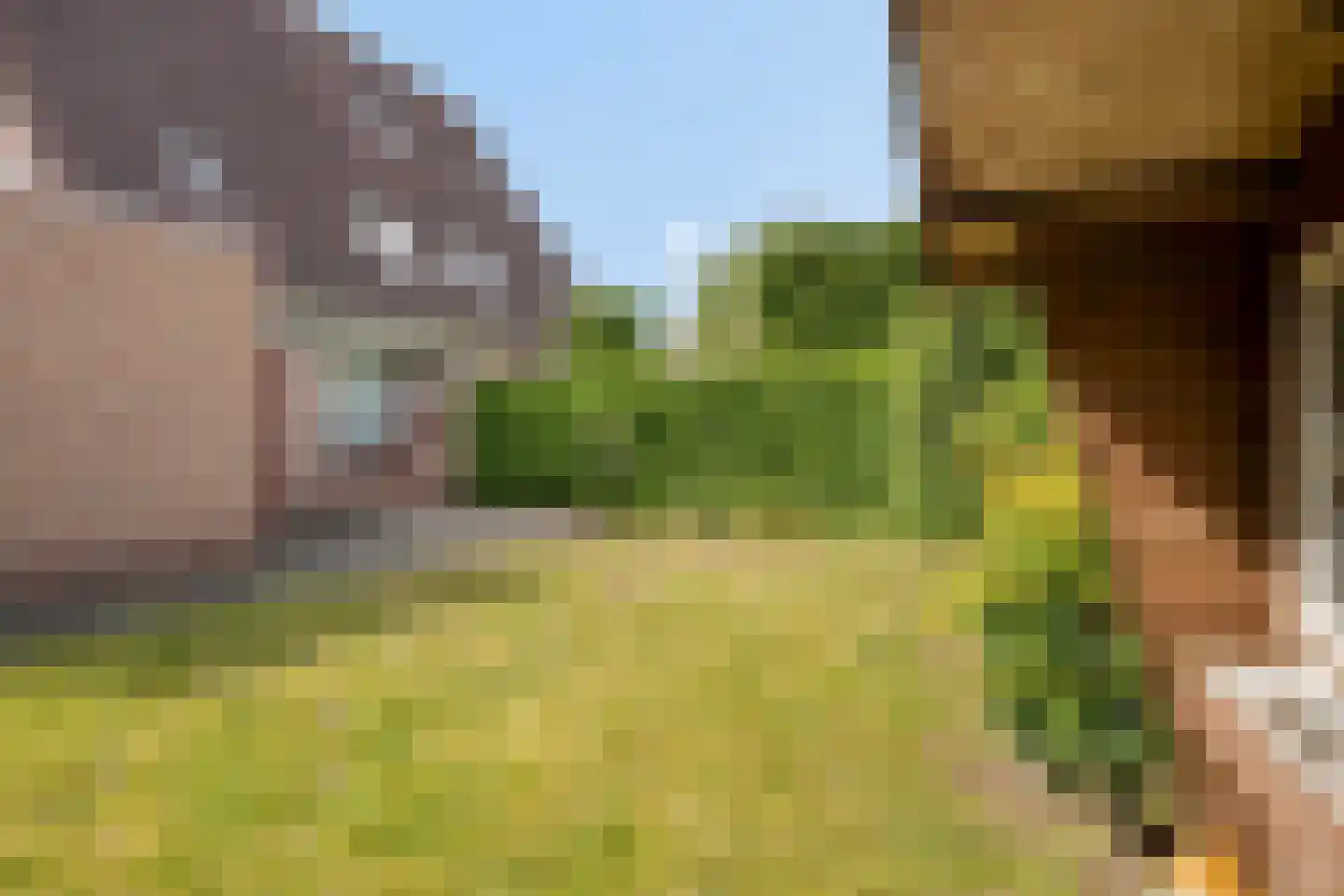 Mekelenkamplaan 23 Oss thumbnail 27