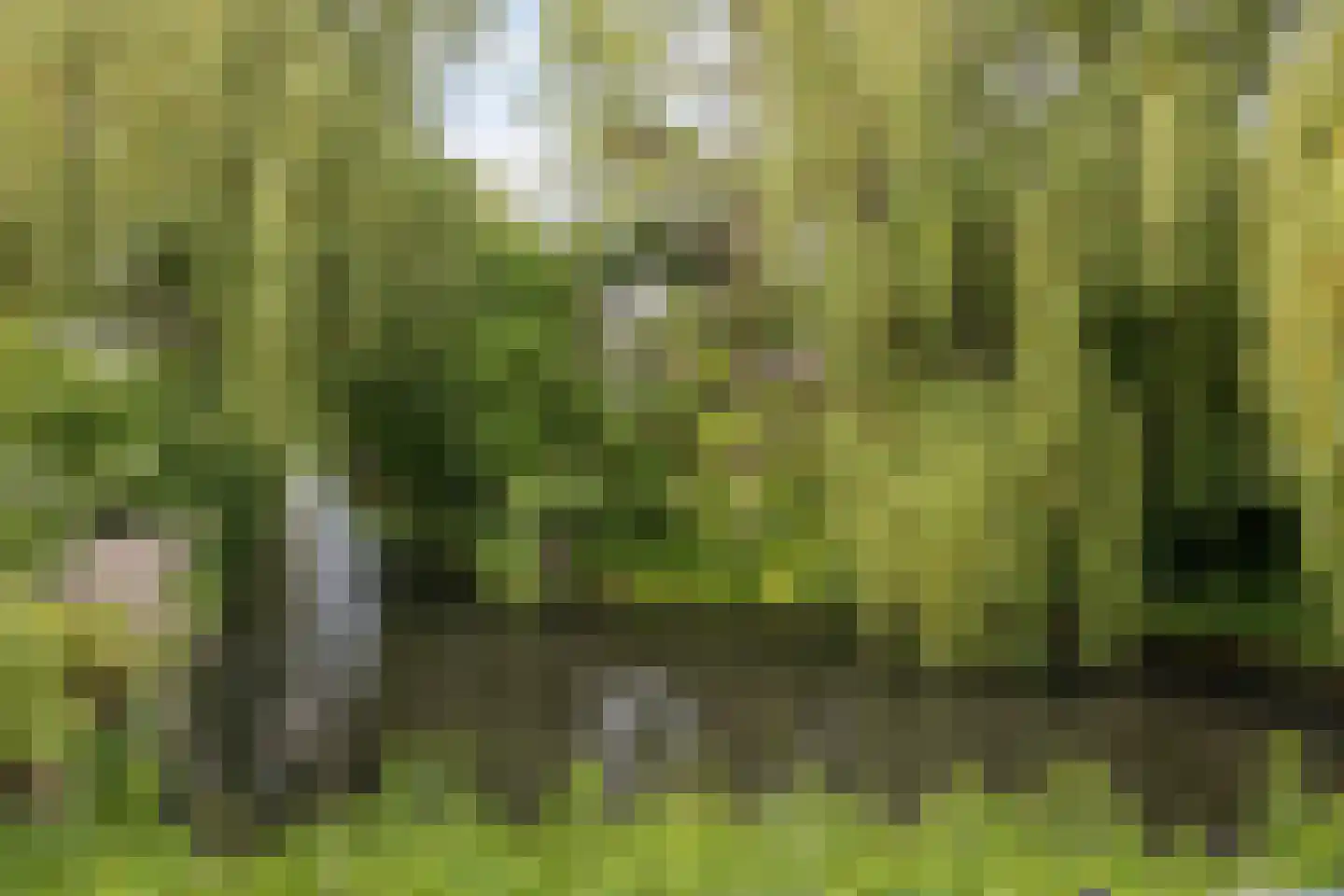 Mekelenkamplaan 23 Oss thumbnail 30