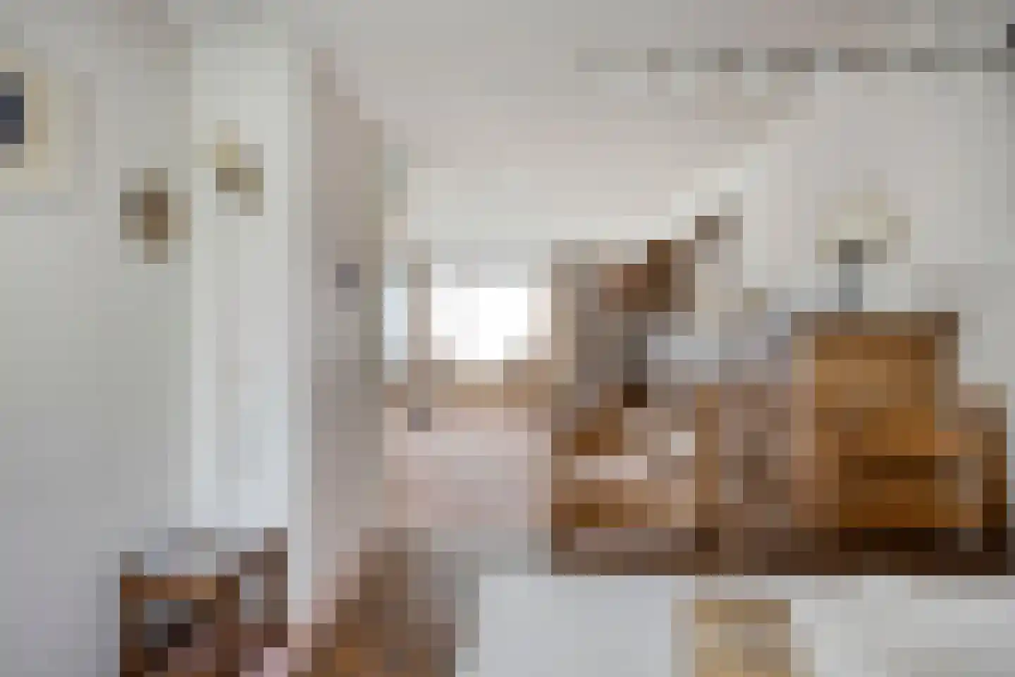 Mekelenkamplaan 23 Oss thumbnail 5