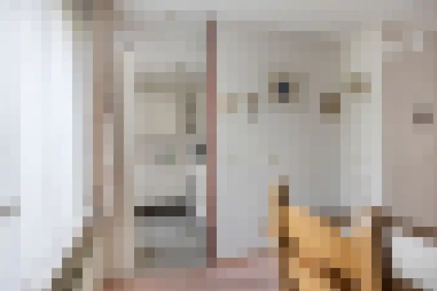 Mekelenkamplaan 23 Oss thumbnail 9