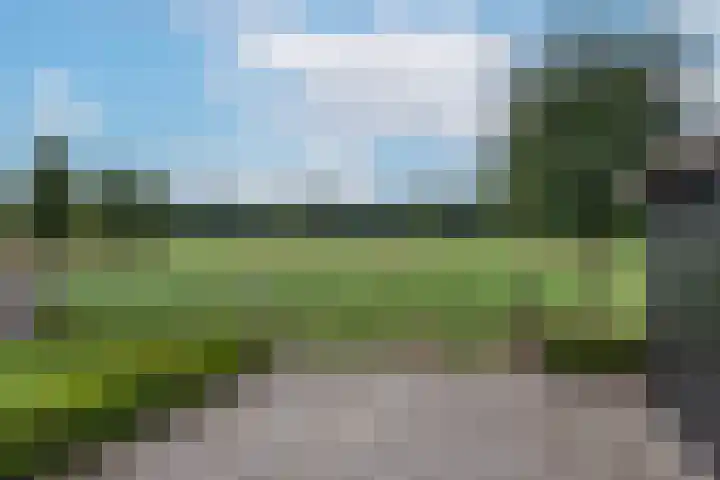 Mekkelenbergweg 38 Harbrinkhoek thumbnail 35